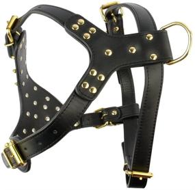 img 2 attached to 🐾 Spiked Leather Collar, Leash, and Harness Set for Medium to Large Pitbull and Boxer Dogs by Berry Pet