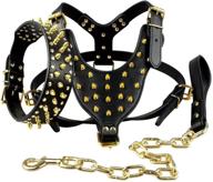 🐾 spiked leather collar, leash, and harness set for medium to large pitbull and boxer dogs by berry pet логотип