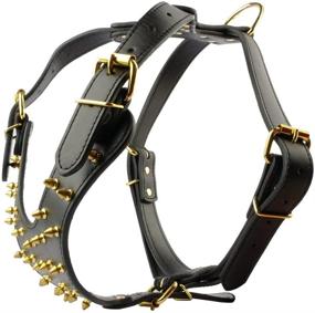 img 3 attached to 🐾 Spiked Leather Collar, Leash, and Harness Set for Medium to Large Pitbull and Boxer Dogs by Berry Pet