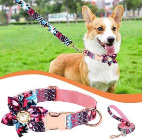 img 4 attached to 🌸 Customizable Leash and Collar Set for Female Dogs - Floral Pattern with Detachable Flower, Personalized with Gold Buckle - Suitable for Small, Medium, and Large Breeds