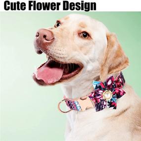 img 3 attached to 🌸 Customizable Leash and Collar Set for Female Dogs - Floral Pattern with Detachable Flower, Personalized with Gold Buckle - Suitable for Small, Medium, and Large Breeds