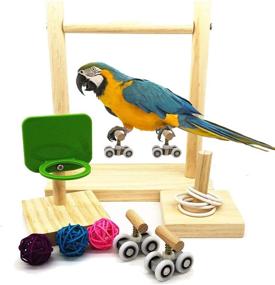 img 4 attached to 🐦 Ultimate Bird Intelligence Toys: Enhance Learning and Play for Parrots, Macaws, Cockatoos and More!