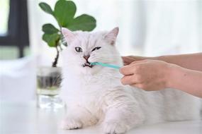 img 2 attached to Мягкая зубная щетка для кошек: головка 360 градусов для безопасной, эффективной и глубокой чистки зубов домашних животных - мята зеленая (пищевой силикон).