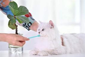 img 1 attached to Мягкая зубная щетка для кошек: головка 360 градусов для безопасной, эффективной и глубокой чистки зубов домашних животных - мята зеленая (пищевой силикон).