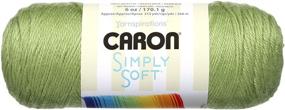 img 1 attached to Оптовая покупка набора пряжи Caron Simply Soft Collection в 3 шт. в цвете писташевого ореха (модель: H97COL-3)