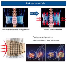 img 3 attached to 🌿 GINIKOO Physical Decompression Back Belt - Lumbar Traction Belt for Lower Back Pain Relief, Support, and Waist Size 29-49 Inches