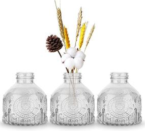 img 4 attached to 🌷 OppsArt Glass Bud Vases for Decor: Small Clear Decorative Vases for Farmhouse Fireplace and Modern Centerpiece Floral Decoration