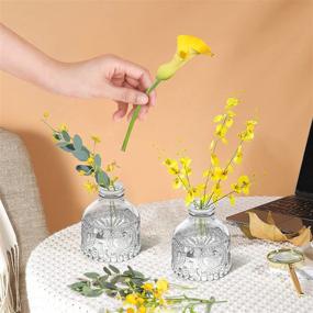 img 2 attached to 🌷 OppsArt Glass Bud Vases for Decor: Small Clear Decorative Vases for Farmhouse Fireplace and Modern Centerpiece Floral Decoration