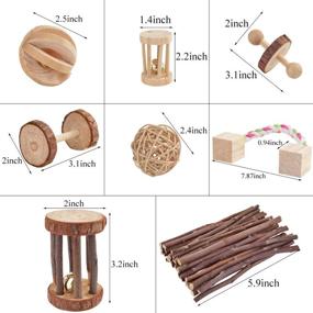 img 3 attached to 🐹 Pack of 8 Natural Wooden Pine Toys for Guinea Pigs, Chinchillas, Hamsters, Rats, Bunnies, Gerbils - Exercise Bell Roller, Dumbbells, Fun Pet Balls - Small Pets Play Toy Set