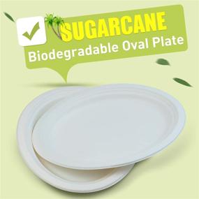 img 3 attached to 🍽️ 125-Count, 12-Inch Compostable Plates - Green Earth, Natural Bagasse (Sugarcane Fiber) Oval Shape - Everyday Tableware, Microwave-Safe, Gluten-Free - Disposable