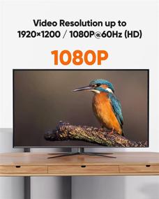 img 1 attached to 🔌 Кабель DisplayPort to DVI длиной 6 футов - CableCreation однонаправленный кабель DP to DVI 1080P@60Hz Full HD, позолоченный адаптер DVI к DisplayPort, мужской разъем - совместим с Lenovo, Dell, HP и другими