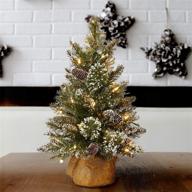 🎄 national tree company 2ft pre-lit mini christmas tree with glittery bristle pine, led lights, and glitter branches логотип