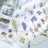 🌸 doraking 40pcs pet purple flowers stickers: ideal diy decor for laptops, planners, scrapbooks, and notebooks logo