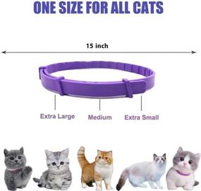 img 2 attached to 🐱 leQuiven Calming Cat Collar 3 Pack - Pheromone Anti-Anxiety Collar, Waterproof & Adjustable - Small, Medium, Large Cats (Violet)