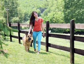img 2 attached to 🐶 PetSafe Basic Remote Dog Training Collar - Tone & Static Stimulation, Water Resistant, Up to 75 Yards, 8 lb. and Up
