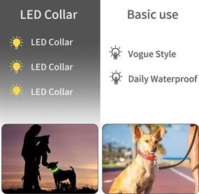 img 3 attached to Enhance Visibility & Safety: MELERIO Waterproof Rechargeable Flashing Light Up Dog Collar for Small Medium Large Dogs