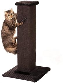 img 2 attached to 🐱 Max & Marlow 32" Cat Scratch Post: Tall Sisal Rope Scratcher with Hanging Ball Toy - Ideal for All Indoor Cat Breeds & Sizes