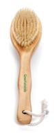 🌿 grannaturals dry brushing body brush for lymphatic drainage + cellulite scrubber - natural bristle exfoliator for body, back, legs, and foot - exfoliating scrub for ingrown hair bumps logo