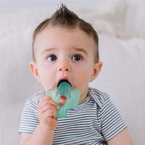 img 3 attached to Itzy Ritzy Water-Filled Teethers: Set of 3 Coordinating Cactus Water Teethers for Soothing Sore Gums