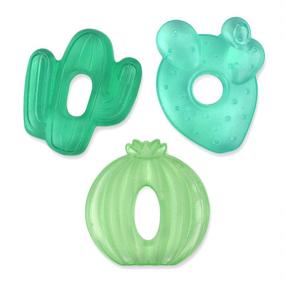img 4 attached to Itzy Ritzy Water-Filled Teethers: Set of 3 Coordinating Cactus Water Teethers for Soothing Sore Gums