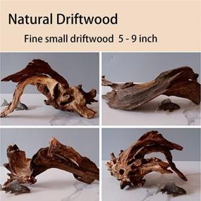 img 3 attached to 🌿 WDEFUN 5-Piece Natural Driftwood: Ideal Aquarium and Fish Tank Decoration, Reptile Decor 5-9 Inch