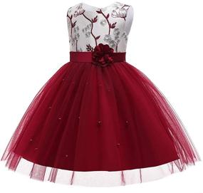 img 2 attached to COMISARA Dresses Communion Occasion Christmas Girls' Clothing
