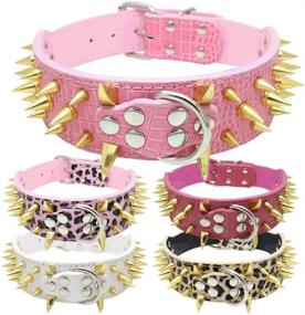 img 2 attached to 🐶 Avenpets Spiked Pet Dog Collars - Stylish Gold Design for Small, Medium, and Large Dogs: Boxer, Bulldog, Pitbull