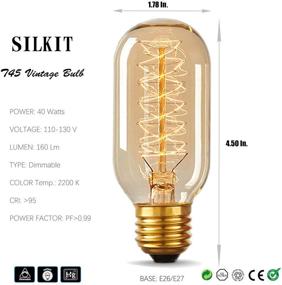 img 3 attached to Dazzling Dimmable Vintage Tubular Decorative: Timeless Elegance Meets Fashion-forward Design