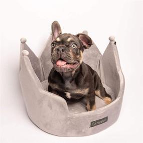 img 2 attached to 👑 NANDOG PET Gear Crown Dog and Cat Bed Collection: Luxuriously Soft Micro-Plush Resting Spots for Small Breeds