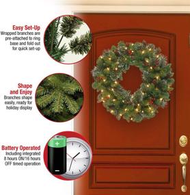 img 1 attached to 🎄 24-Inch National Tree Company Pre-Lit Artificial Christmas Wreath, Green Crestwood Spruce, White LED Lights, Decorated with Pinecones, Berry Clusters, Frosted Branches – Christmas Collection