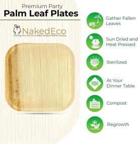 img 3 attached to Naked Eco 10 inch Palm Leaf Plates - Sustainable Alternative to Disposable Bamboo Plates - Compostable, Bio-degradable, and Ecofriendly - Heavy Duty Party Plates (25Pc)