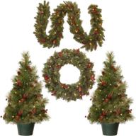 🎄 national tree company pre-lit christmas set: white led lights, holiday 4-piece bundle - garland, wreath, and 2 entrance trees, green logo