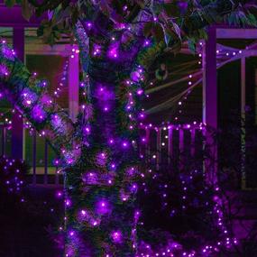 img 1 attached to 🎃 FUNPENY 200 LED Purple Halloween Fairy Lights, 66 FT Waterproof String Lights with 8 Lighting Modes, Indoor Outdoor Garden Party Decorations