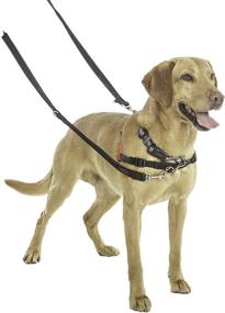 img 1 attached to 🐾 Halti Dog Training Lead, Dual Ended Leash for Head Collar and No Pull Harness, Training Leash for Small, Medium, Large Dogs - Black/Red