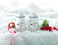 🍽️ pfaltzgraff winterberry stoneware salt-and-pepper set - timeless elegance for your dining table logo