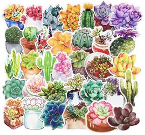 img 4 attached to Honch Succulent Stickers Pack - 70 Pcs Vinyl Decals for Laptop, Bumper, Helmet, iPad, Car, Luggage, Water Bottle, Suitcase