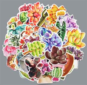 img 3 attached to Honch Succulent Stickers Pack - 70 Pcs Vinyl Decals for Laptop, Bumper, Helmet, iPad, Car, Luggage, Water Bottle, Suitcase