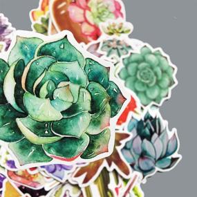 img 1 attached to Honch Succulent Stickers Pack - 70 Pcs Vinyl Decals for Laptop, Bumper, Helmet, iPad, Car, Luggage, Water Bottle, Suitcase