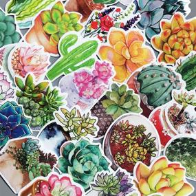 img 2 attached to Honch Succulent Stickers Pack - 70 Pcs Vinyl Decals for Laptop, Bumper, Helmet, iPad, Car, Luggage, Water Bottle, Suitcase