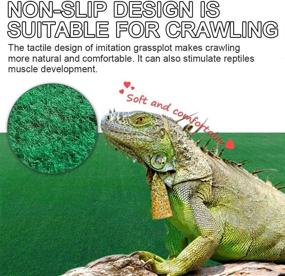 img 2 attached to 🐍 High-Quality Reptile Carpet Set - 4pcs Soft Green Terrarium Substrate Liner for Bearded Dragon, Lizards, Gecko, Chameleon, Iguana, Turtles, Snakes (19.7" x 11.8")