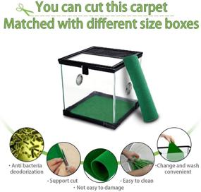 img 3 attached to 🐍 High-Quality Reptile Carpet Set - 4pcs Soft Green Terrarium Substrate Liner for Bearded Dragon, Lizards, Gecko, Chameleon, Iguana, Turtles, Snakes (19.7" x 11.8")