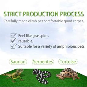 img 1 attached to 🐍 High-Quality Reptile Carpet Set - 4pcs Soft Green Terrarium Substrate Liner for Bearded Dragon, Lizards, Gecko, Chameleon, Iguana, Turtles, Snakes (19.7" x 11.8")