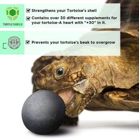 img 2 attached to 🐢 Premium SunGrow Tortoise Supplement Balls: Essential Calcium Source for Aquatic and Box Turtles & Tortoises - Pack of 10 Balls