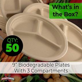 img 3 attached to Restaurant-Grade, Biodegradable 9 Inch 3-Compartment Plates: Bulk 50 Pk for Lunch and Dinner Parties