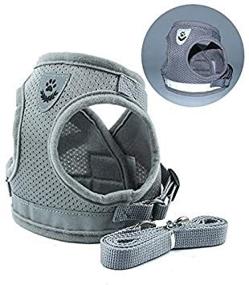 img 2 attached to 🐾 Q1 PETGO Kitten and Puppy Universal Small Dog Harness with Leash Set: Escape Proof Cat Harness - Adjustable, Reflective, and Soft Mesh Design