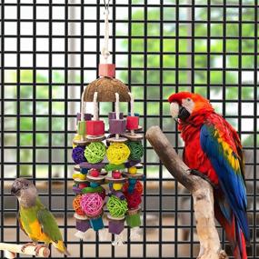 img 1 attached to 🐦 EBaokuup Large Bird Parrot Toys – Multicolored Wooden Blocks Bird Chewing Toy for Macaws, Cockatoos, African Grey, and Large Medium Parrot Birds – Cage Bite Toy
