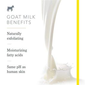 img 1 attached to 🐐 Beekman 1802 - Крем для рук Pure Goat Milk - Без аромата, увлажняющее и увлажняющее лосьон для сухой и чувствительной кожи - Ежедневное увлажнение - Уход за кожей рук на основе козьего молока - 2 унции