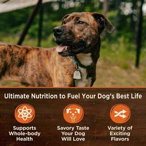 img 2 attached to 🐕 Wellness CORE Simply Shreds Grain Free Dog Food Topper - Protein Rich Mixer, Treats or Wet Pouches, Natural & Filler-Free with 5 Ingredients