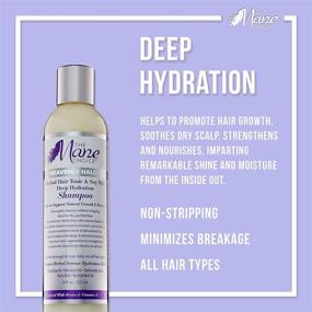 img 3 attached to MANE CHOICE Heavenly Hydration Conditioner Hair Care for Shampoo & Conditioner