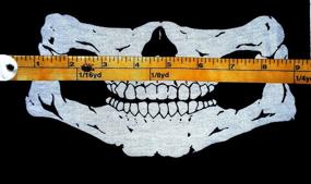 img 2 attached to AMERICAN Skull Tubular Seamless Bandana